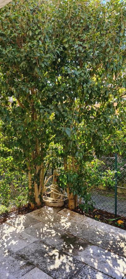 Jasmine Country House Βιτσέντζα Εξωτερικό φωτογραφία